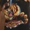 lionnaromans